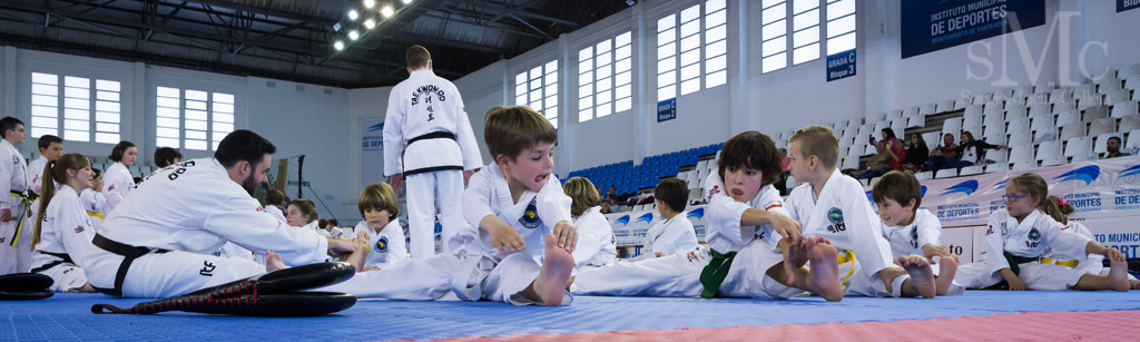 DIA DEL TAEKWONDO ABRIL 2017_3858.JPG